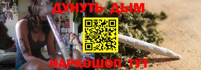 сатива Новозыбков