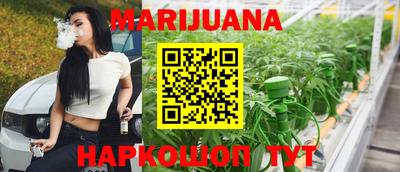 сатива Новозыбков