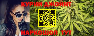 сатива Новозыбков